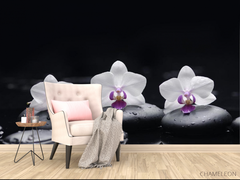 Фотообои белые орхидеи на черном фоне - 4