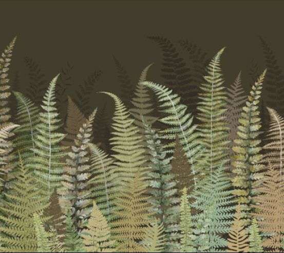 Фотообои Листья папоротника зеленые Фотообои Листья папоротника зеленые 33295