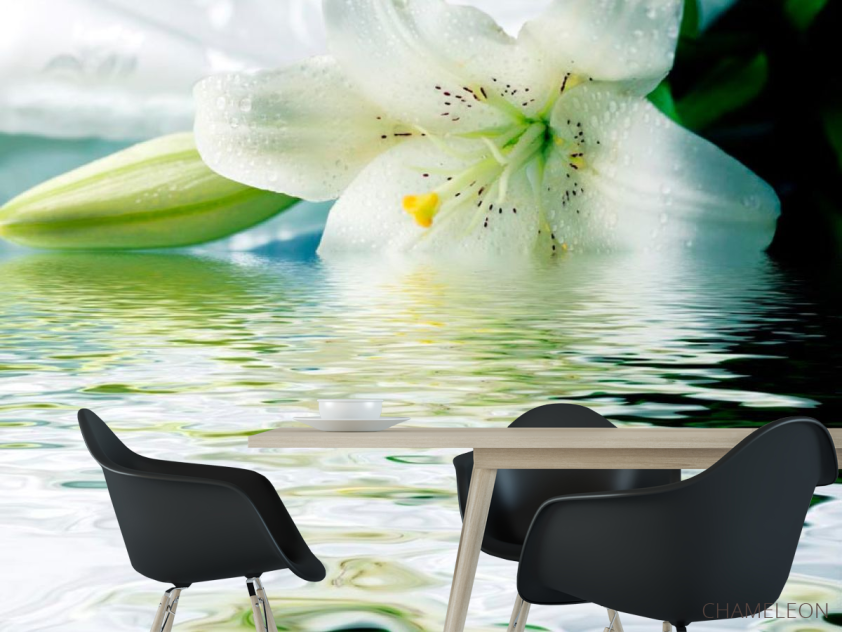 Фотообои Лилия белоснежная - 1