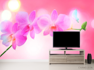 Фотообои Бледно-розовые цветы - 2