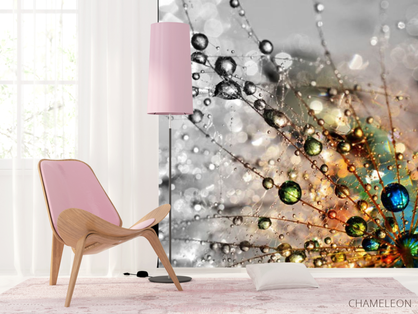 Фотошпалери кульбаба з росою - 4