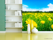 Фотошпалери Одуванчиковое полі - 3