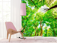 Фотошпалери Тонкі дерева - 4