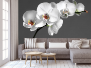 Фотообои белая орхидея на сером фоне - 3