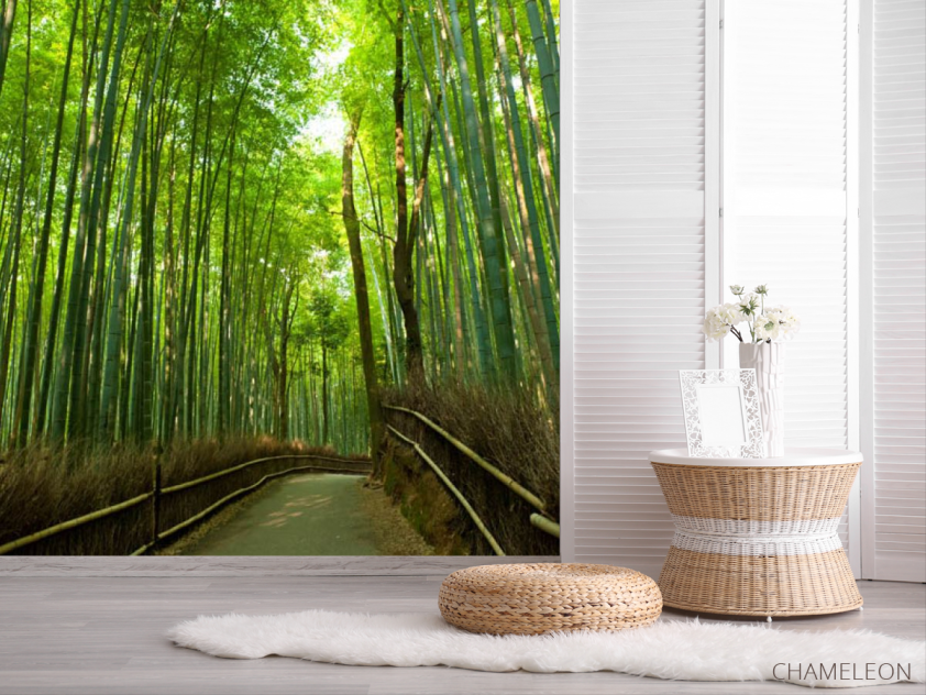Фотошпалери алея через бамбук - 2