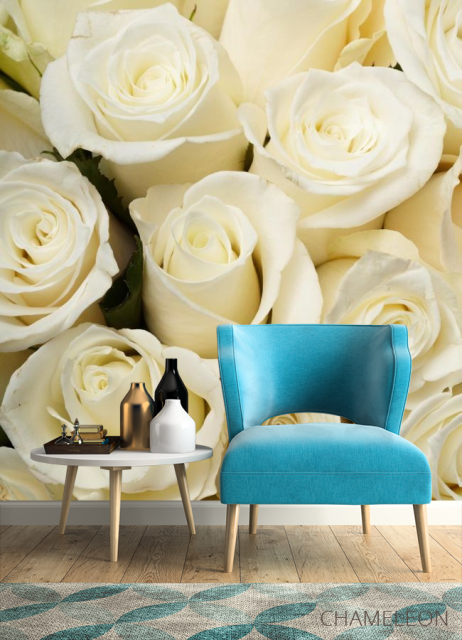 Фотообои белые розы - 4