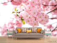 Фотообои Дерево в розовом цвету - 1