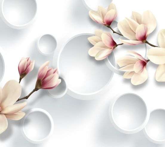 Фотообои Магнолия и 3д круги 22311