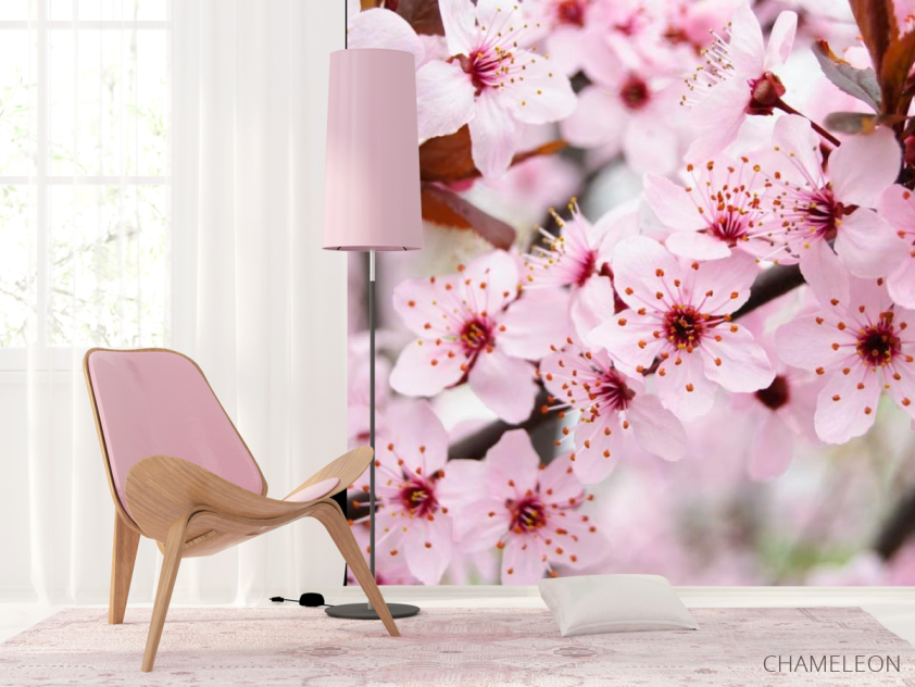 Фотошпалери Квітуче деревце навесні - 4