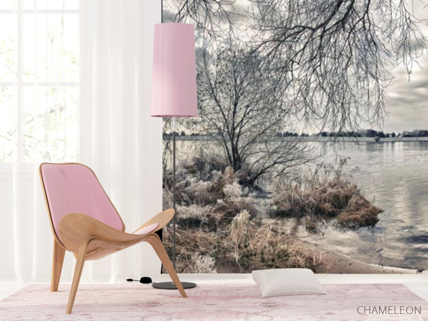 Фотошпалери Чорно біле узбережжі - 4