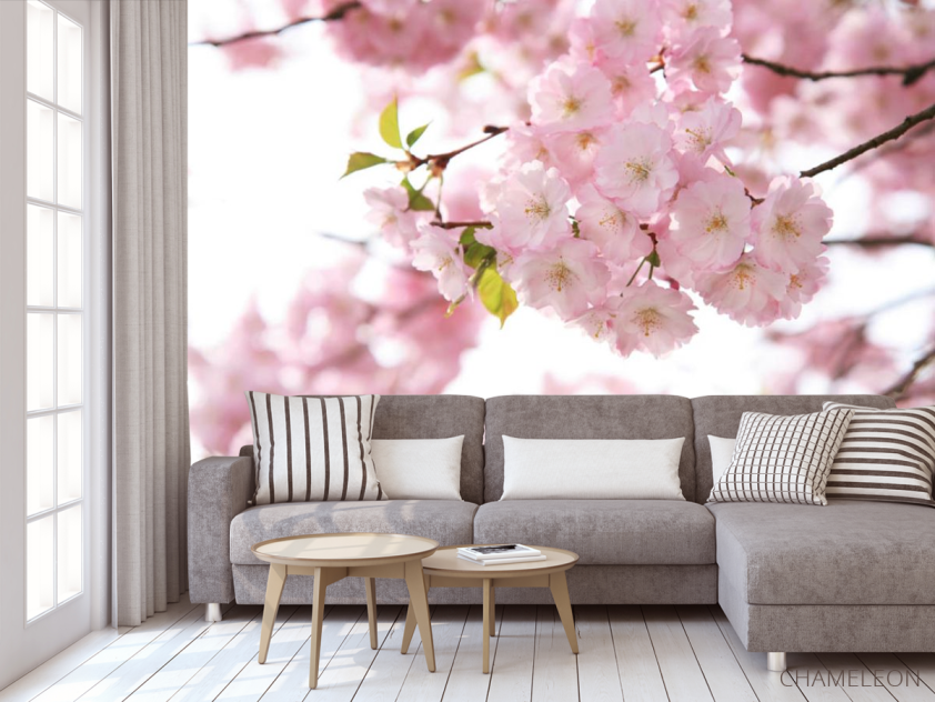 Фотообои Цветы розовой сакуры - 3