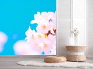 Фотошпалери Білі квіти в небі - 2