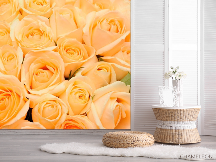 Фотошпалери Букет з кремових троянд - 2