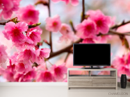 Фотообои Дерево с розовыми ветами - 2