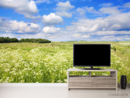 Фотообои поле - 2