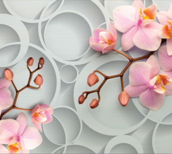 Фотообои Розовые орхидеи 16420