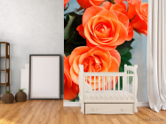 Фотообои Розы цвета кораллов - 2