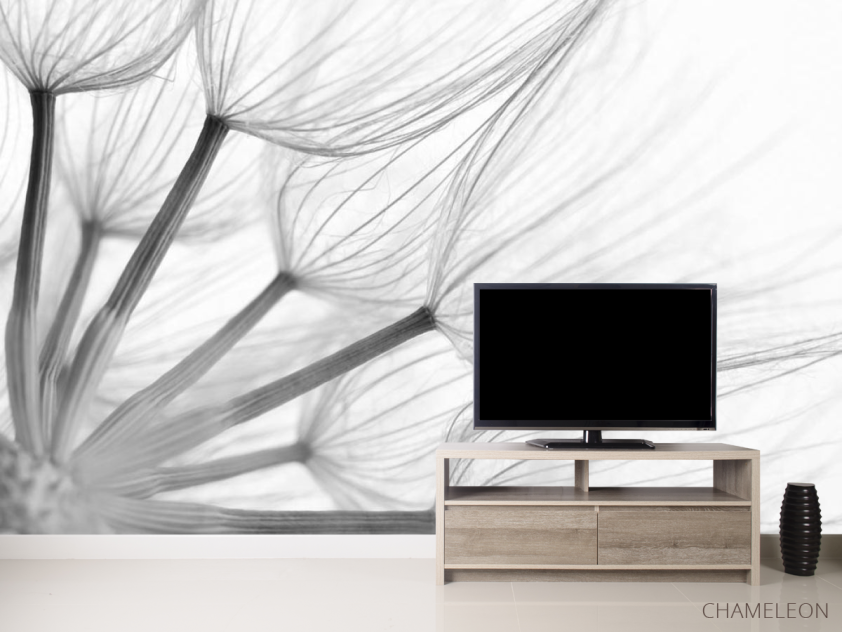 Фотообои Одуванчик - 2