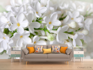 Фотообои белая сирень - 1