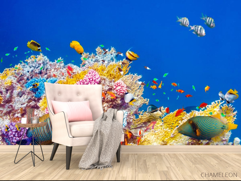 Фотообои Кораллы и рыбы - 4