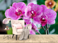 Фотообои Орхидеи в розовую крапинку - 4