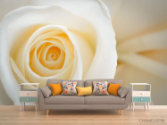 Фотообои кремовая роза - 1