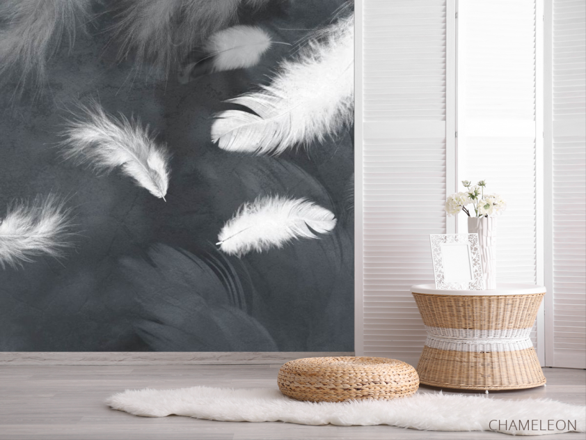 Фотошпалери білі пір'я на сірому - 2