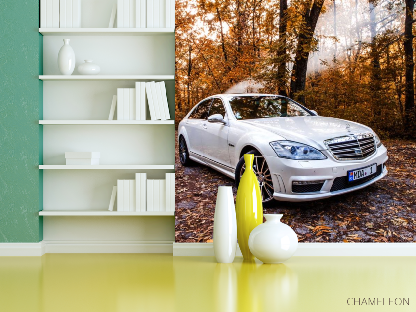 Фотошпалери біла машина в лісі - 3