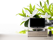 Фотообои Белые цветы - 2