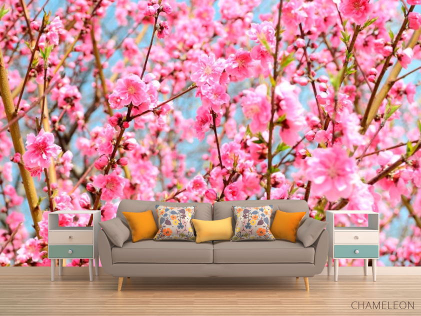 Фотообои Кипарис розовый - 1