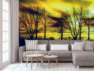 Фотообои желтое небо за деревьями - 3