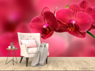 Фотообои Красные орхидеи - 4