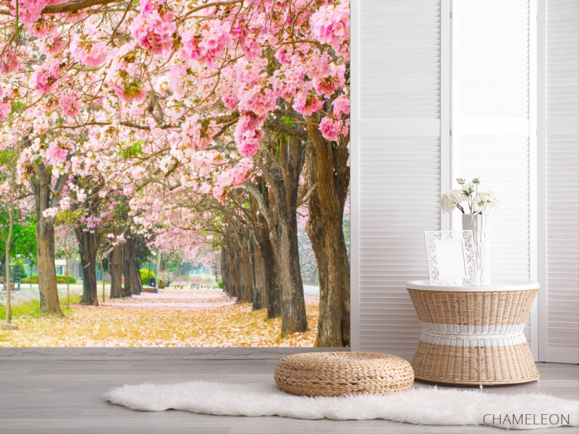 Фотошпалери алея з рожевих дерев - 2