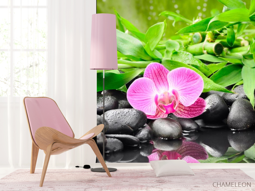 Фотошпалери Орхідея на каменях - 4