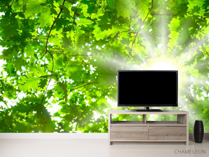 Фотообои Дубовый лист - 2