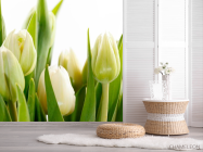 Фотошпалери Тюльпани - 2
