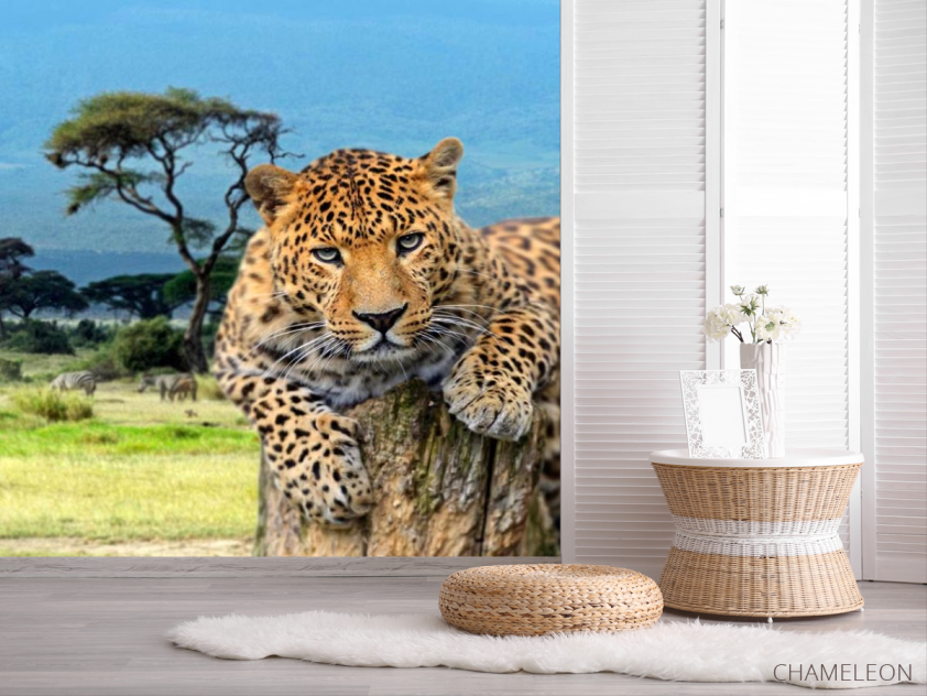 Фотошпалери Гепард перед стрибком - 2