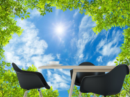 Фотошпалери Гілки і небо стеля - 1