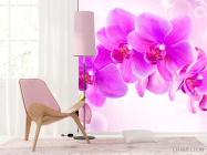 Фотошпалери Орхідеї - 4