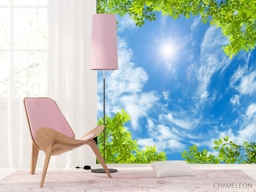 Фотошпалери Гілки і небо стеля - 4