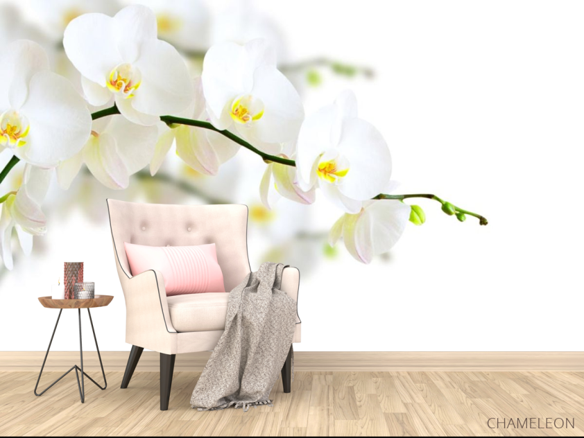 Фотообои веточка белой орхидеи - 4