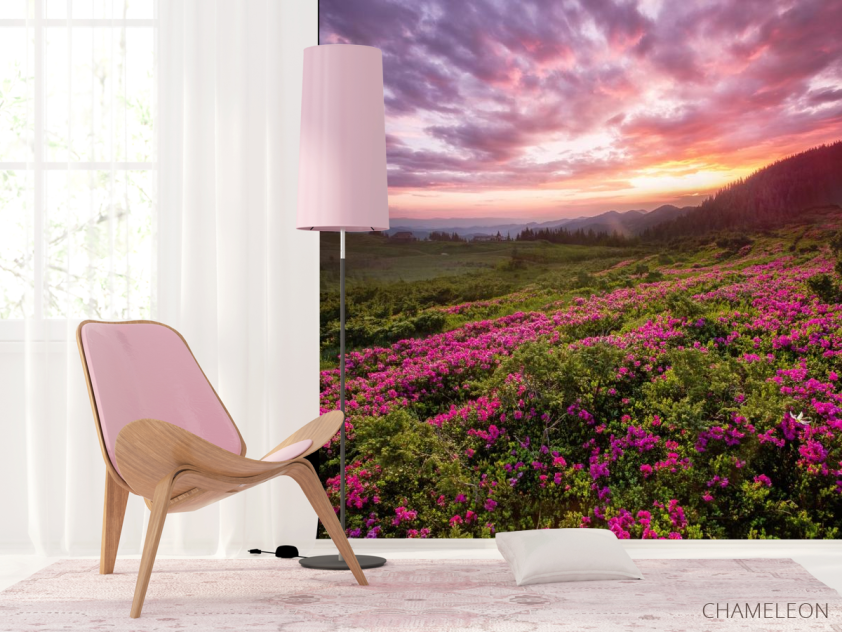 Фотошпалери захід сонця над бузковими квітами - 4
