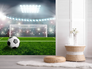 Фотошпалери м'яч і ворота - 2