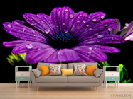 Фотообои Фиолетовый цветок - 1