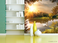 Фотошпалери лебідь на озері - 3