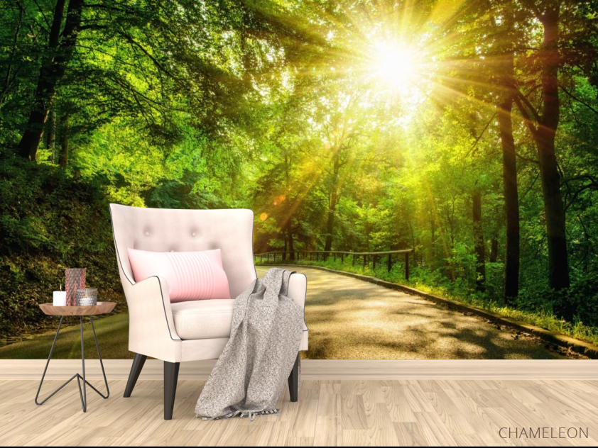 Фотообои Восход в лесу - 4