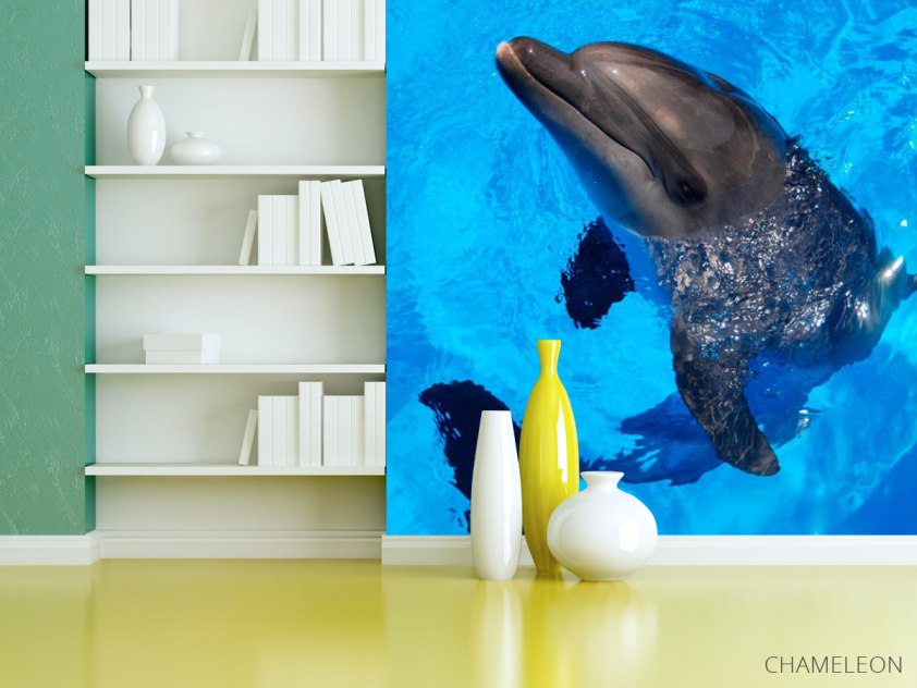 Фотошпалери Жвавий дельфін - 3