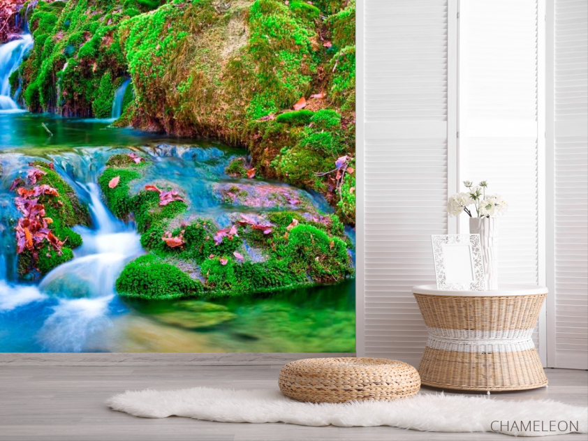 Фотошпалери Мох, вода - 2