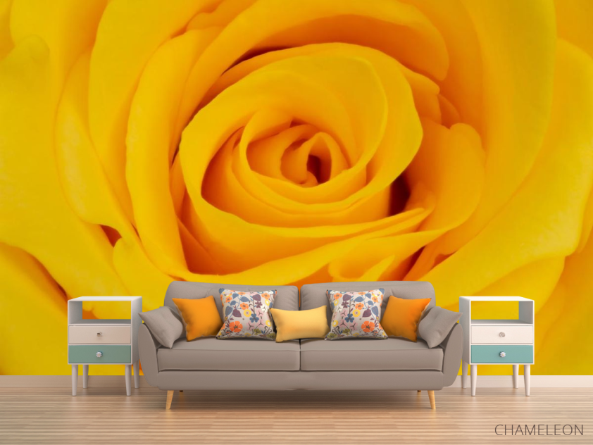 Фотообои желтая роза - 1