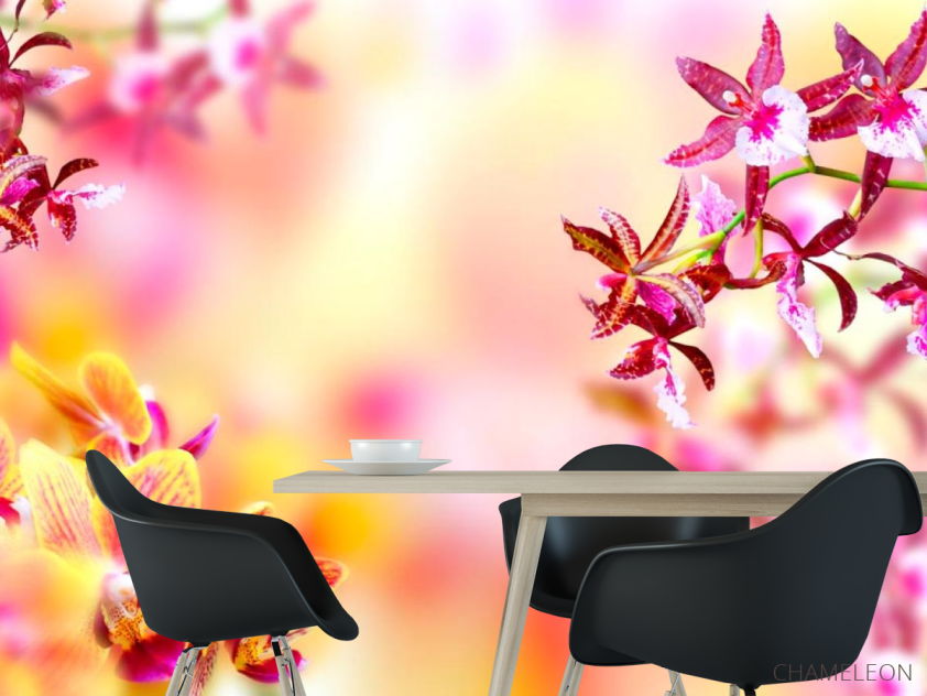 Фотошпалери Ніжні квіти - 1